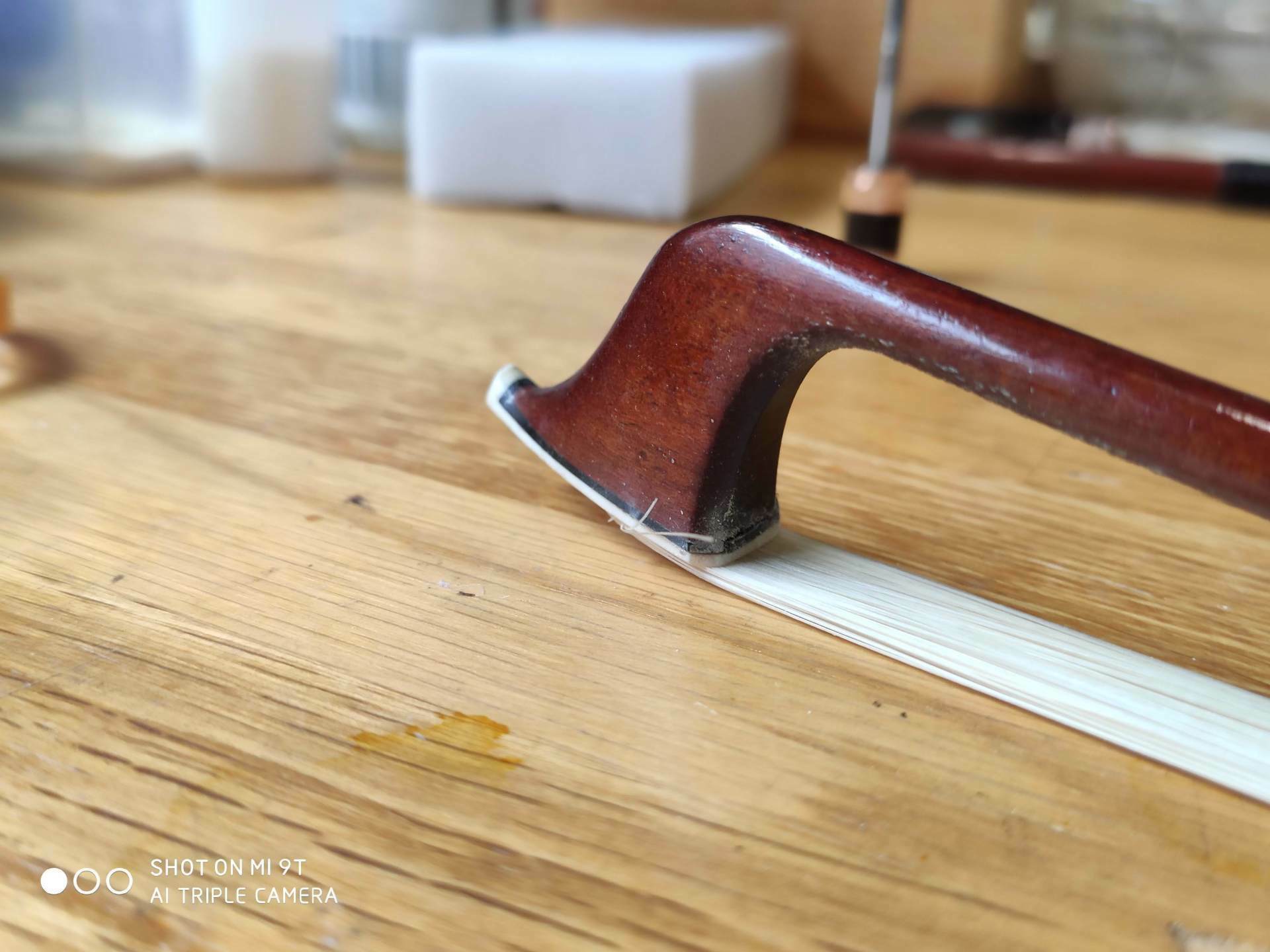 1388460529 1388460529