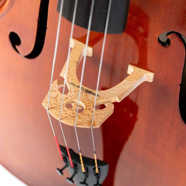 C. Luthiers Clar EW. 6 scaled