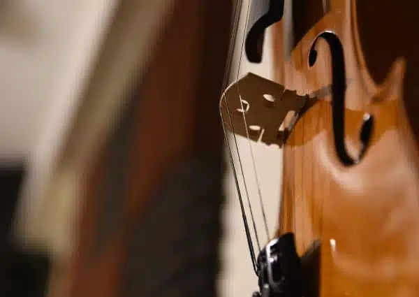 Reparación de instrumentos