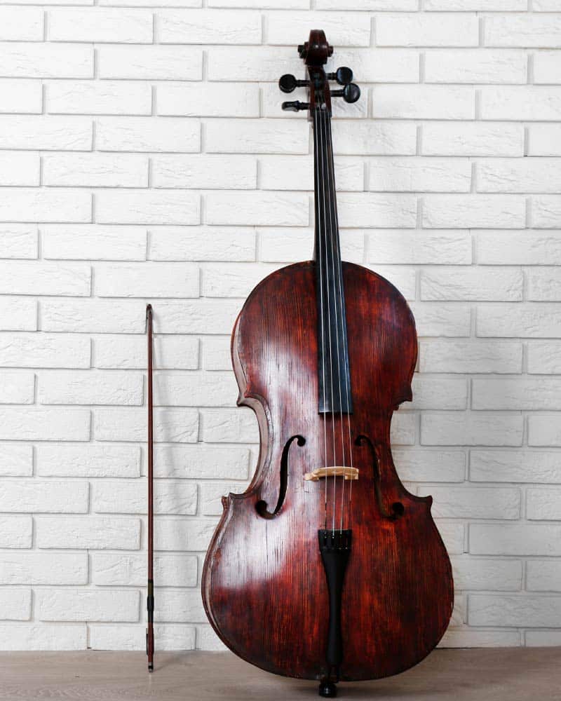 Se convierte en Ideal Galantería Cello o violonchelo - Historia, tipos, características y precios - Luthier  Clar