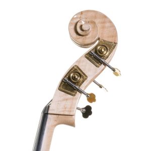 Contrabajo Stentor Rock a Billy 2