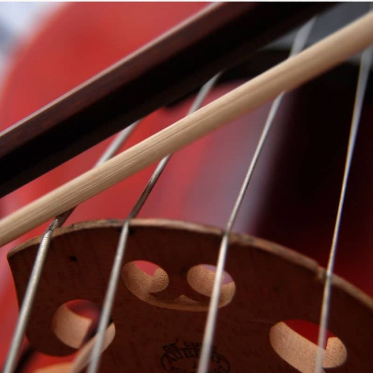 Los accesorios que necesitas para tu instrumento de cuerda