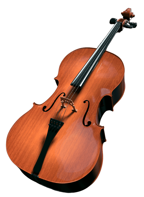 Alquiler de violonchelo