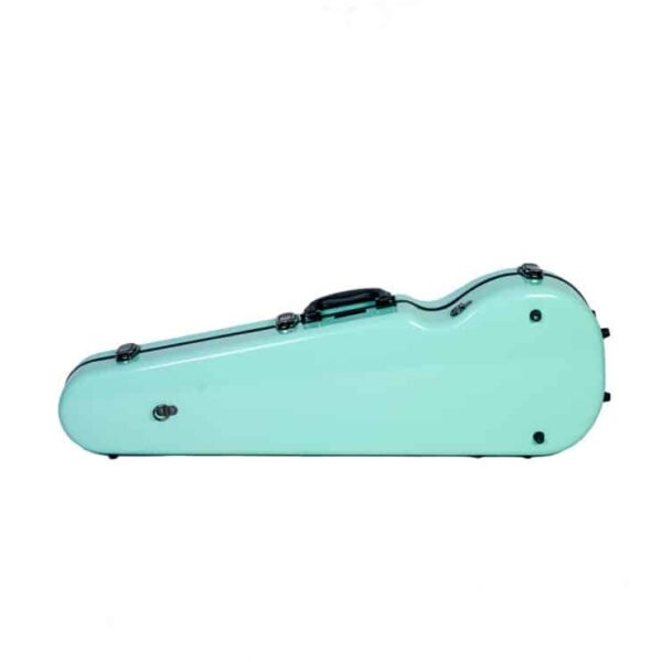 Estuche viola Rapsody 16AA forma 1