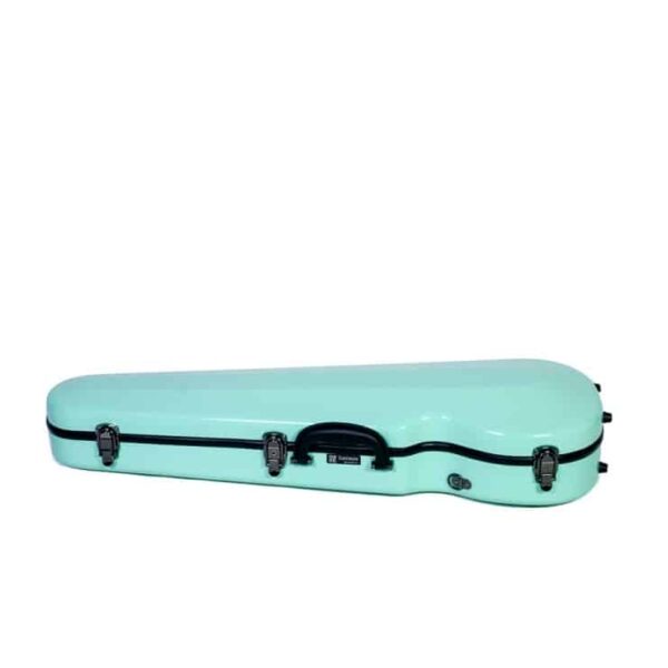 Estuche viola Rapsody 16AA forma 2