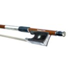 Arco violin Rapsody VC 10 34 2
