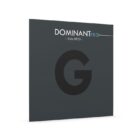 Cuerda viola Thomastik Dominant Pro DP23 3 Sol Medium