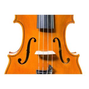 Viola-Heritage-HA-6.jpg Viola Heritage HA 6
