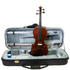 Viola stentor Conservatoire
