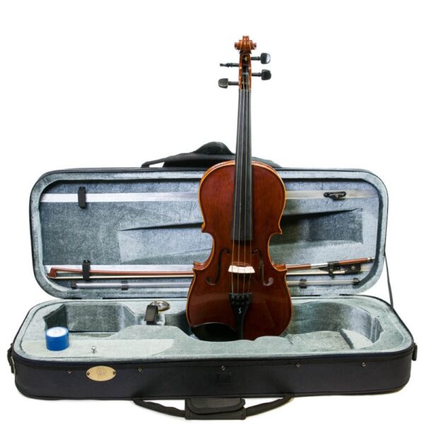 Viola stentor Conservatoire