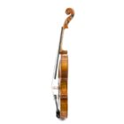 Violi Antonio Wang Atelier 44 2