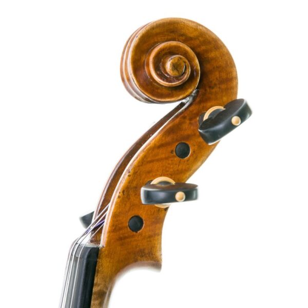 Violi Antonio Wang Verona antiqued 44 4