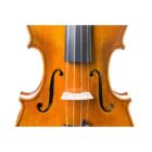 Violi Antonio Wang Verona antiqued 44 5