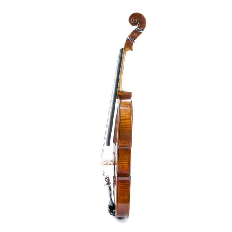 Violi Stentor Master 44 2