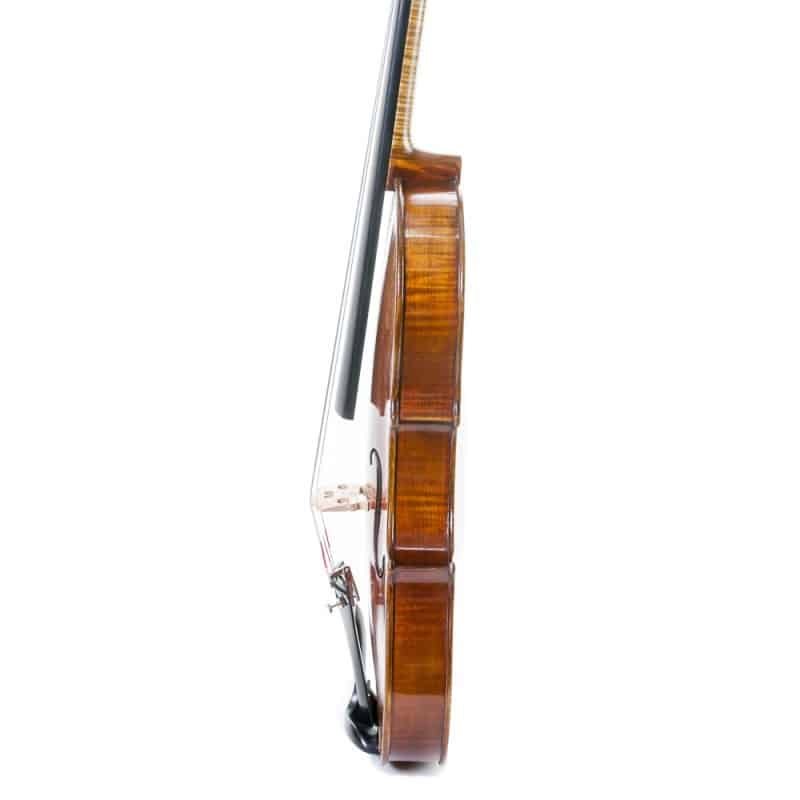 Violi Stentor Master 44 3