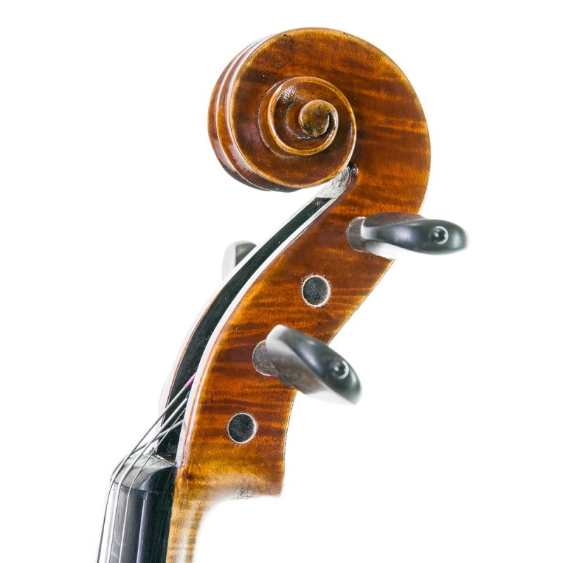 Violi Stentor Master 44 5