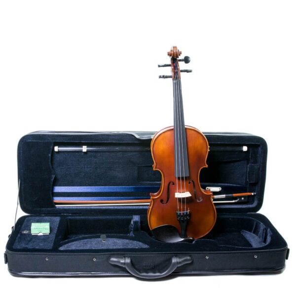 Violin Corina Sestetto