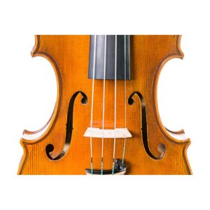 Violin Mr Danio Wu Master Signature 5
