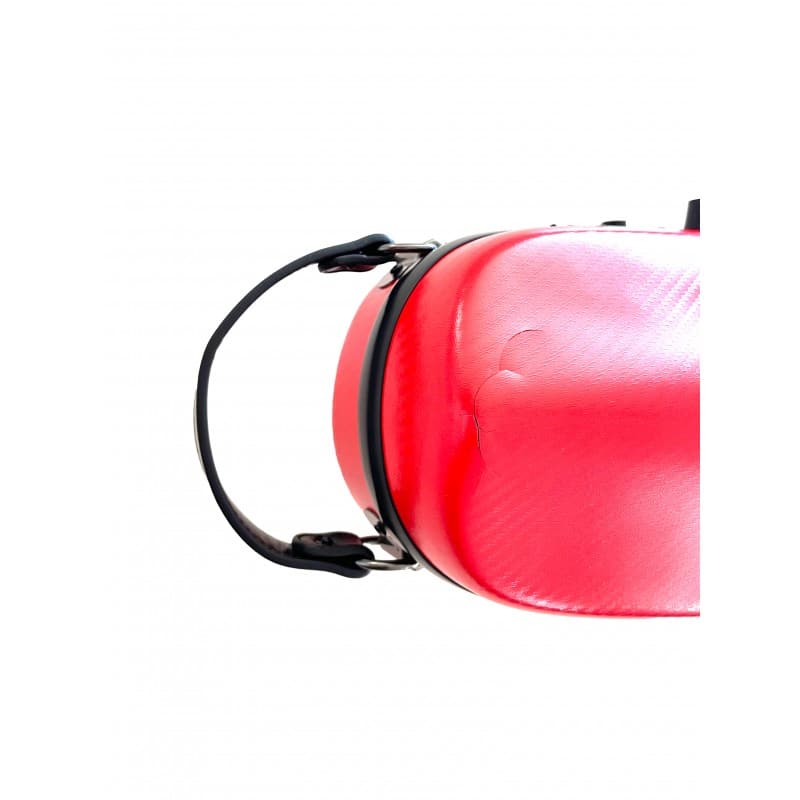 estoig viola rapsody rainbow forma vermell b stock n 253 4