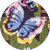 mariposas