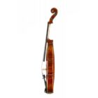 viola corina orquesta 2