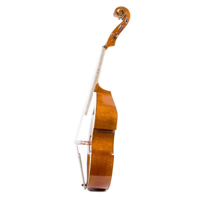 viola de gamba rapsody g10 2