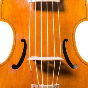 viola de gamba rapsody g10 5