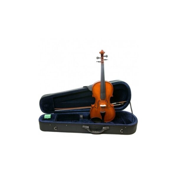 viola gliga genial i