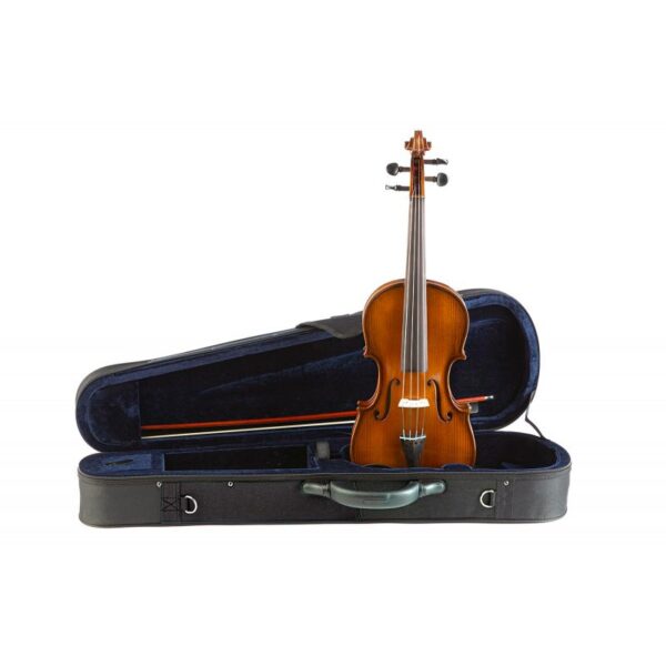 viola gliga genial ii