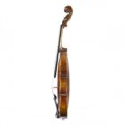 violin tradizione pizzicato 3