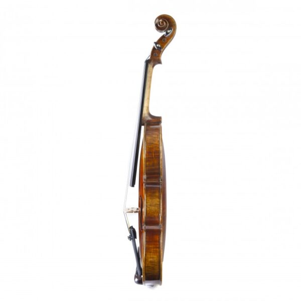 violin tradizione pizzicato 3