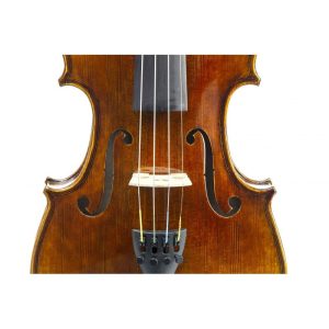 violin tradizione pizzicato 4