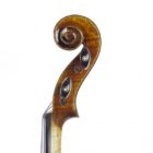 violin tradizione vibrato 3