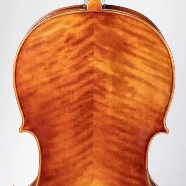 Chelo Luthiers Clar Profes