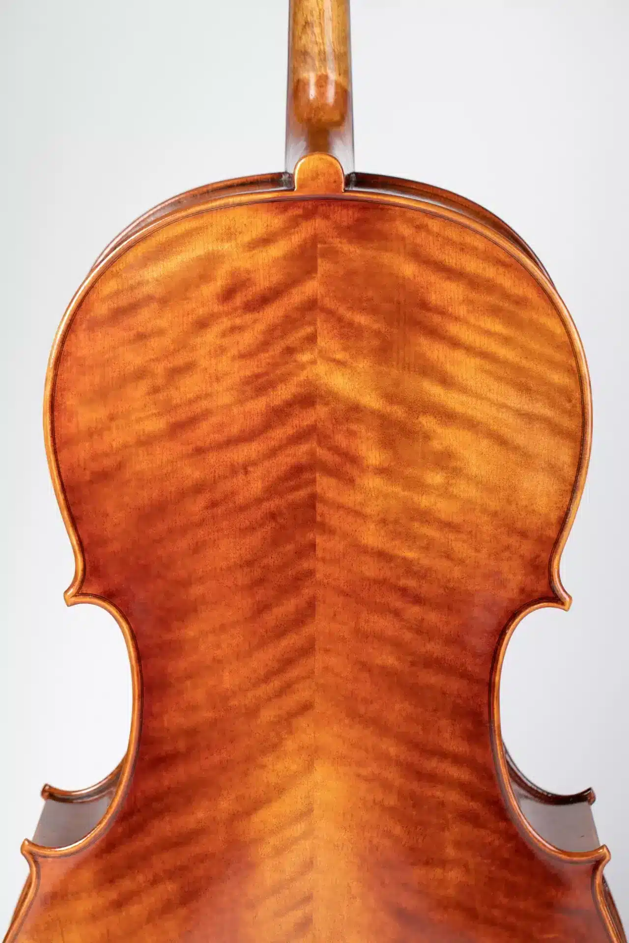 Chelo Luthiers Clar Profes