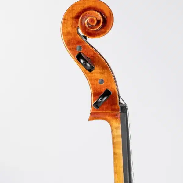 Chelo Luthiers Clar Profes