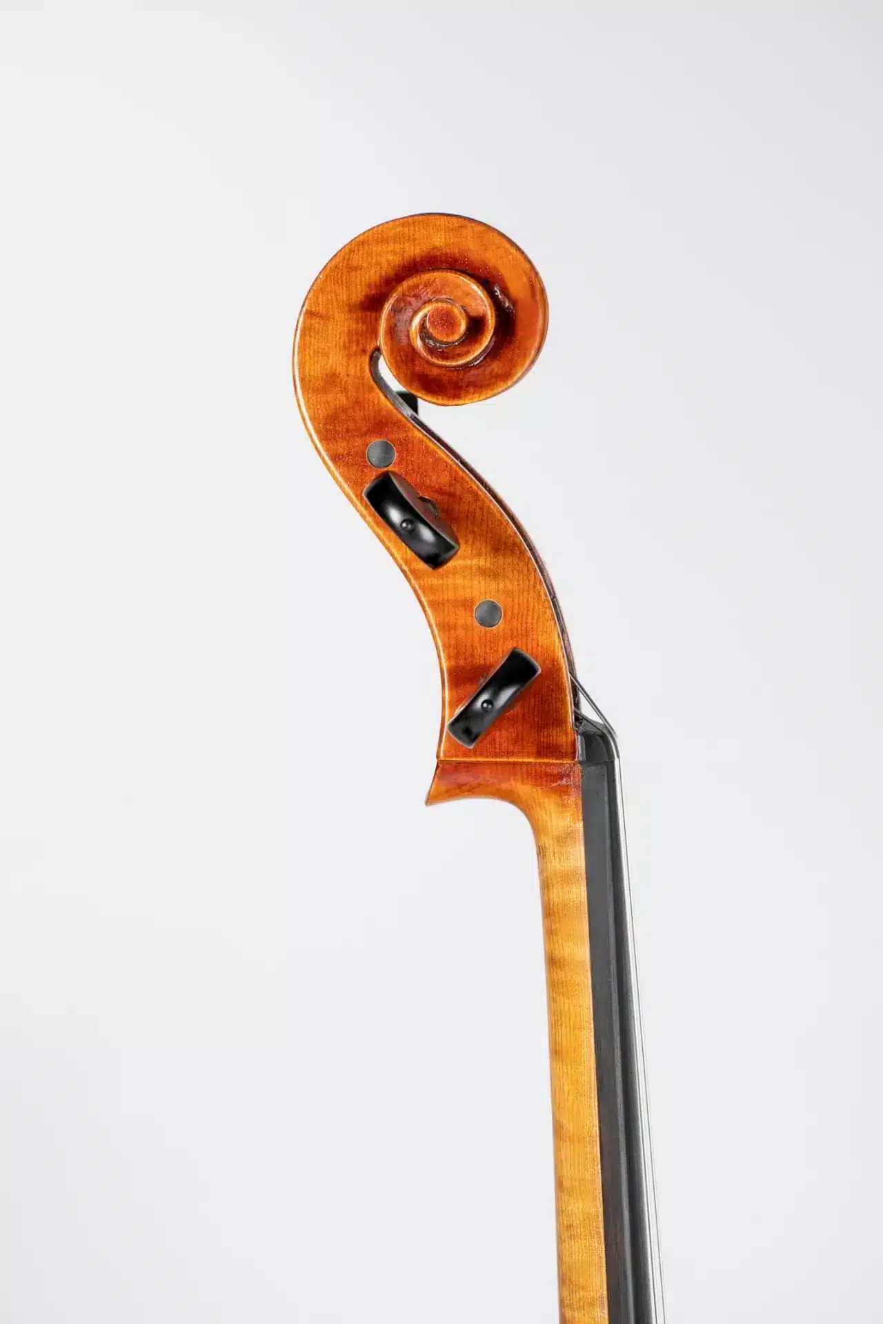 Chelo Luthiers Clar Profes